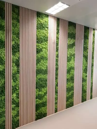 Acoustic Moss