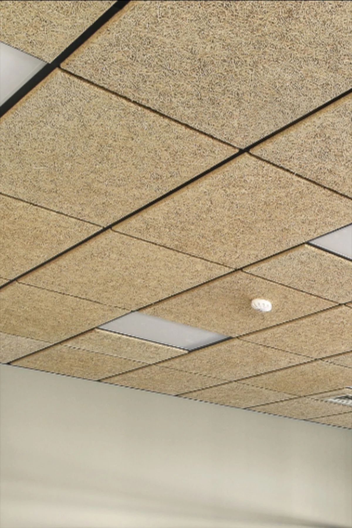 Wood wool acoustic panel installation — Yamamah Smart KSA