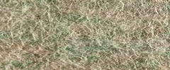 YAMSIS-04 Pine Green