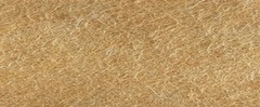 YAMSIS-08 Cassia Yellow