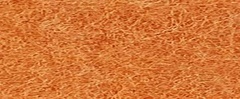 YAMSIS-09 Golden Copper