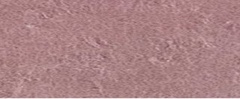 YAMSIS-13 Coral Pink