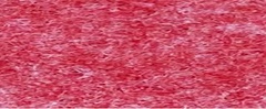 YAMSIS-20 Watermelon Red
