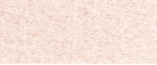 YAMSIS-26 Beige