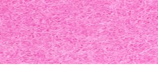 YAMSIS-27 Peach Blossom Pink