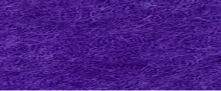 YAMSIS-29 Violet