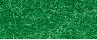 YAMSIS-31 Emerald Green