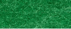 YAMSIS-31 Emerald Green
