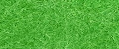 YAMSIS-33 Deep Green