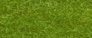YAMSIS-34 Matcha Green