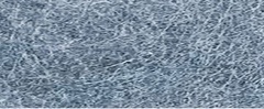 YAMSIS-40 African Gray