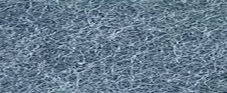 YAMSIS-41 Moonlight Gray