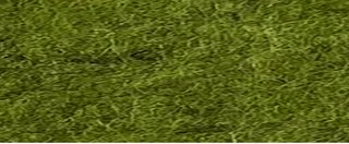 YAMSIS-58 Olive 1918