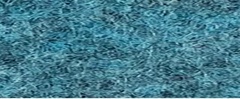 YAMSIS-59 Teal 1921