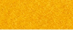 YAMSIS-60 True Color-1 Yellow