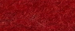 YAMSIS-61 Wine 1920