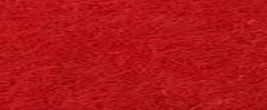 YAMSIS-65 Forbidden City Red