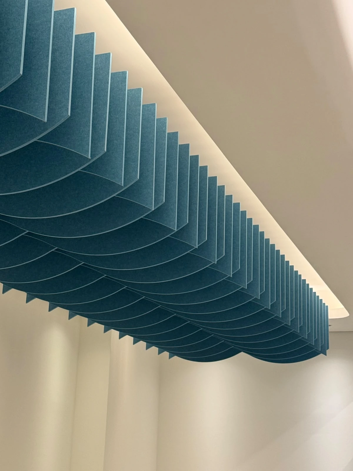 Alpha Capital HQ — install shot 1