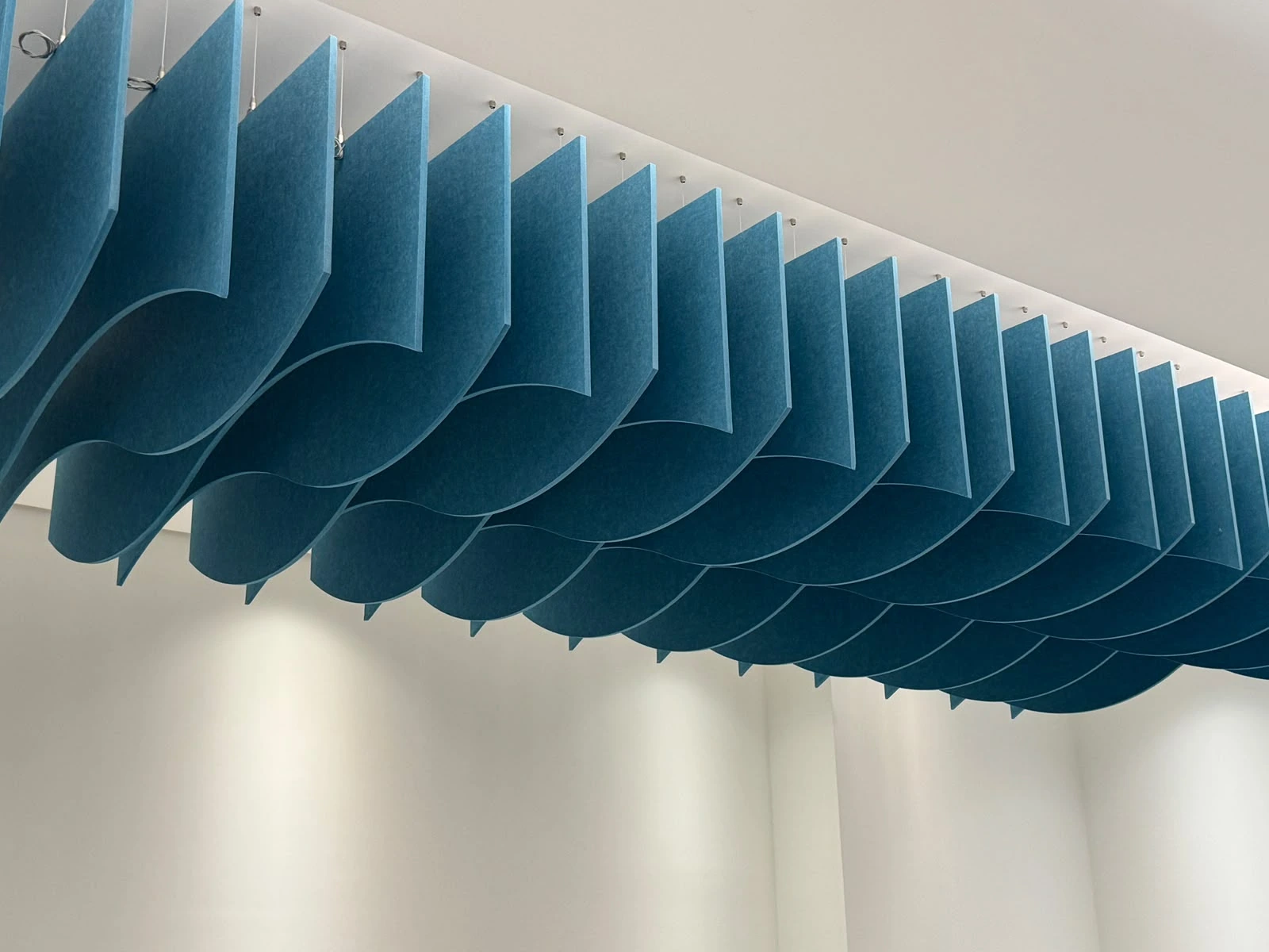 Alpha Capital HQ — install shot 2