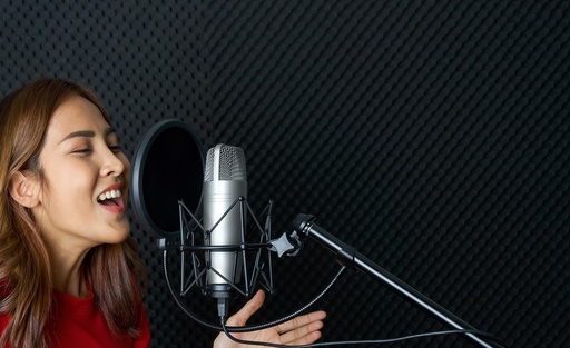 Acoustic Foam Panels